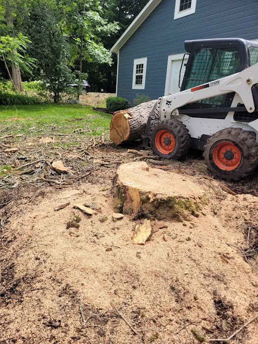 Benny & Ericks Landscaping Picture 5