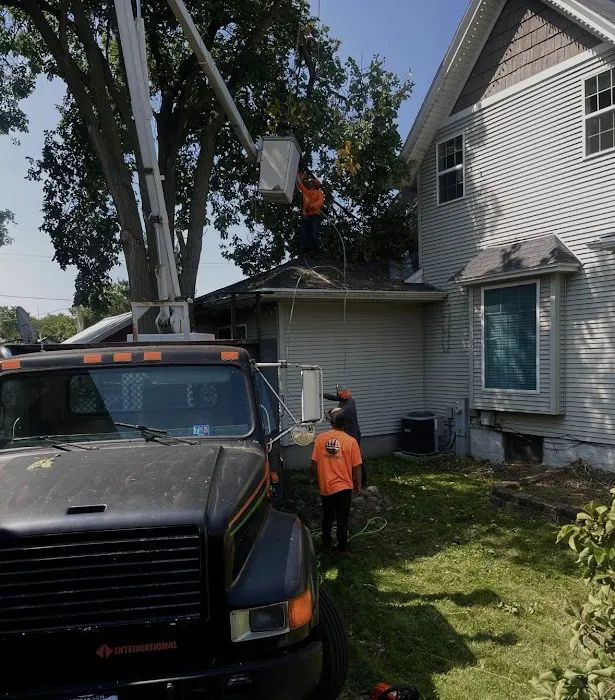 Arbor Ridge Lawn Care Services LLC Picture 2