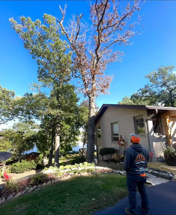 Arbor Ridge Lawn Care Services LLC Picture 8