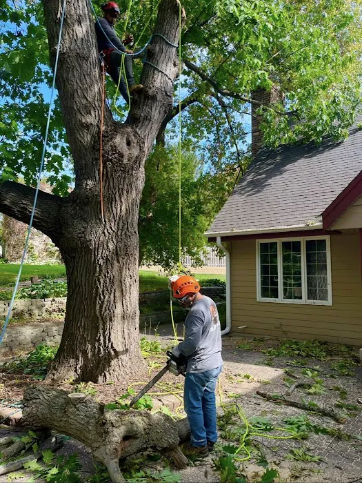 Arbor Ridge Lawn Care Services LLC Picture 3