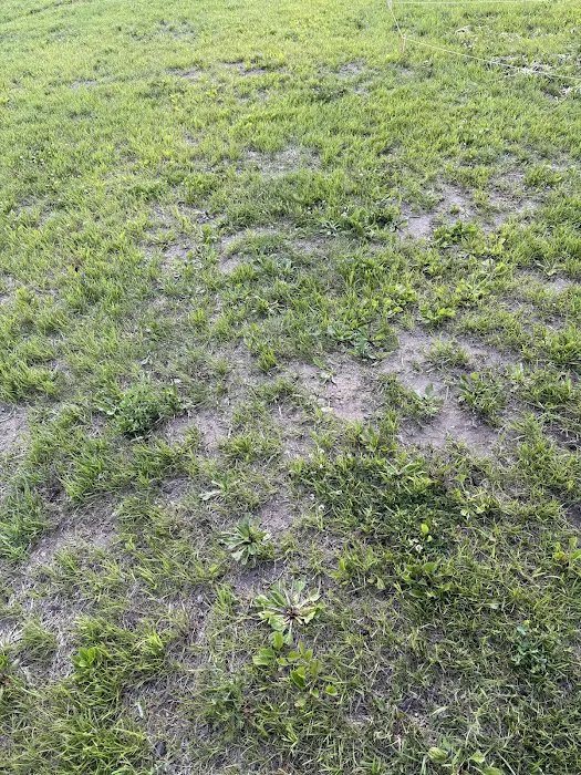 General Landscaping Services Picture 4