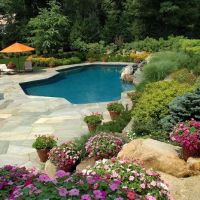 Landscaping Lawn Maintenance Plus, Inc. ico