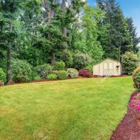 Lawn Doctor of McHenry/East Lake County ico