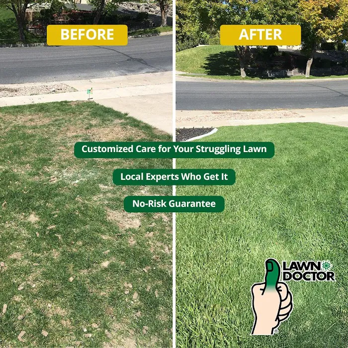 Lawn Doctor of McHenry/East Lake County Picture 6