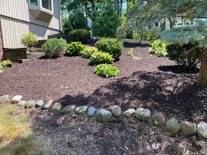 MendozaLandscaping LLC Picture 4