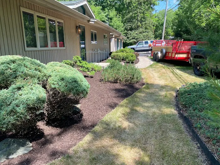 MendozaLandscaping LLC Picture 6