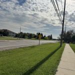 Doctors of Landscaping