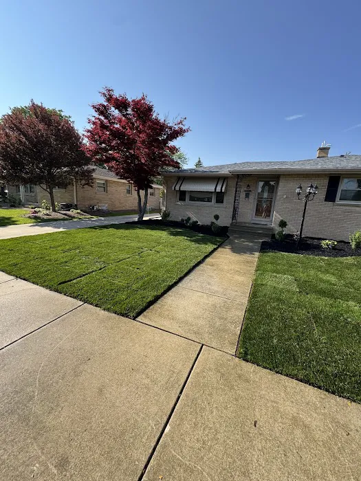 Doctors of Landscaping Picture 10