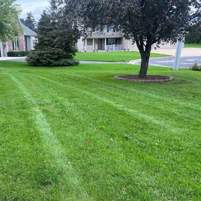 KG Lawn Services Picture 3