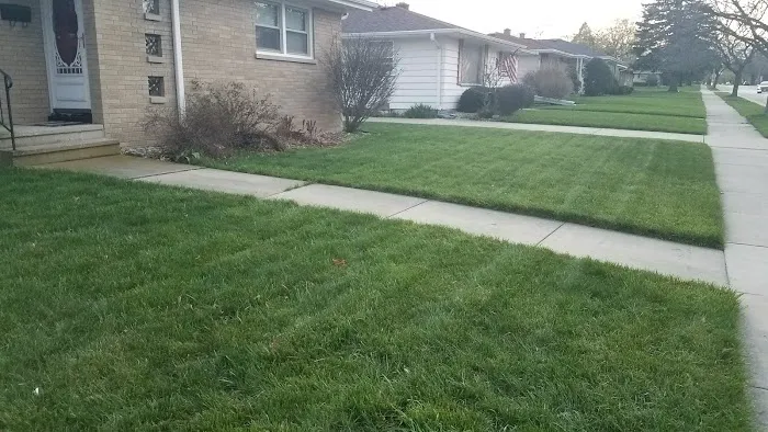 Naturescape Lawn and Landscape Care Picture 2