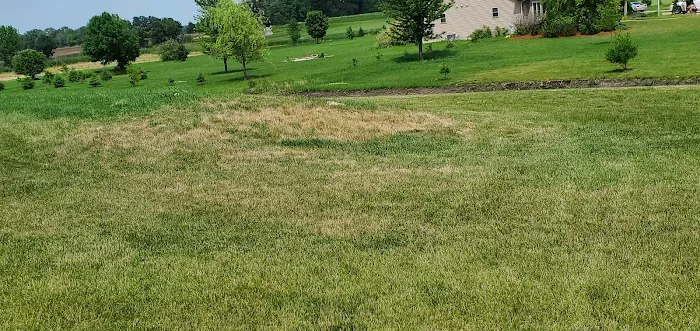Naturescape Lawn and Landscape Care Picture 1