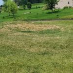 Naturescape Lawn and Landscape Care