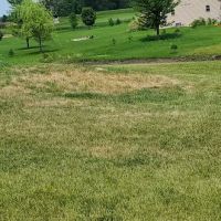 Naturescape Lawn and Landscape Care ico
