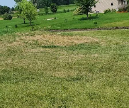 Naturescape Lawn and Landscape Care