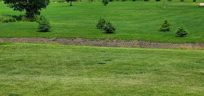 Naturescape Lawn and Landscape Care Picture 4
