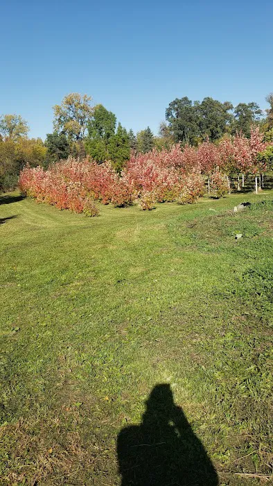 Garden of Eder Picture 3