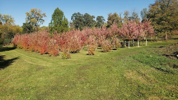 Garden of Eder Picture 8