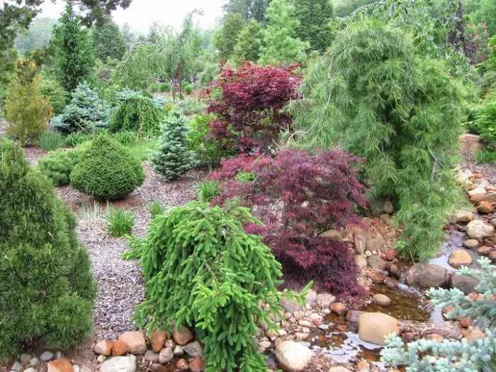 Garden of Eder Picture 10
