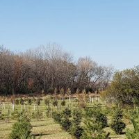 Garden of Eder ico