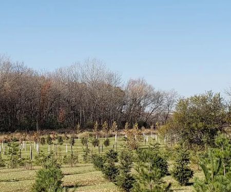 Garden of Eder