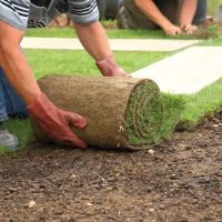 Royal Green Sod Farm ico