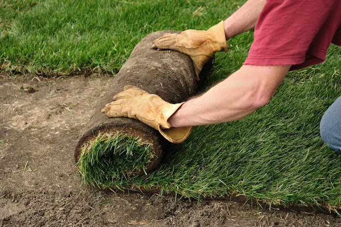 Royal Green Sod Farm Picture 3