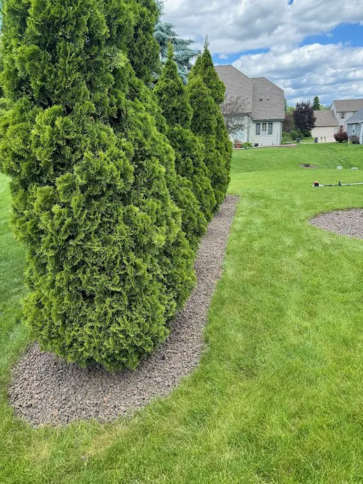 Augusta Lawn Care Services Of Racine Picture 6