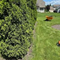 Augusta Lawn Care Services Of Racine ico