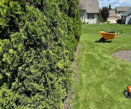 Augusta Lawn Care Services Of Racine