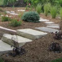 DC Landscape LLC ico