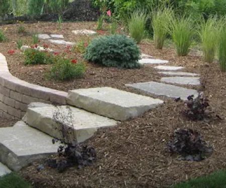 DC Landscape LLC
