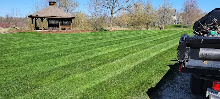 Happy Grass Outdoor Landscaping Picture 9