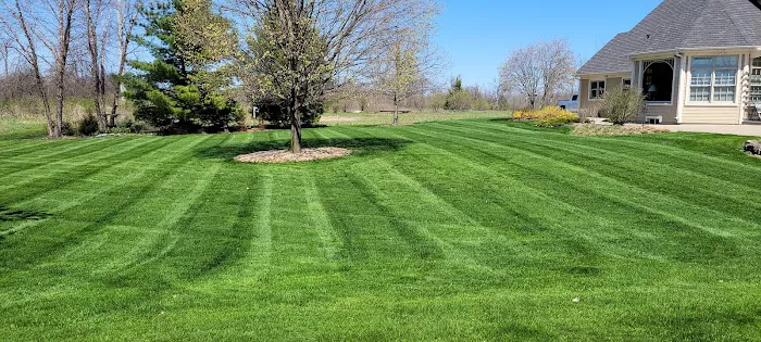 Happy Grass Outdoor Landscaping Picture 10