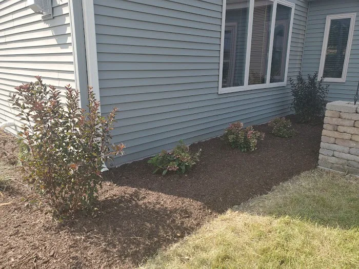 Happy Grass Outdoor Landscaping Picture 7