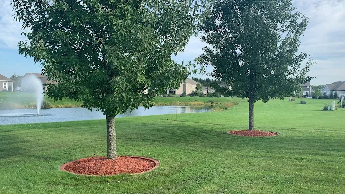 Summit landscaping Picture 5
