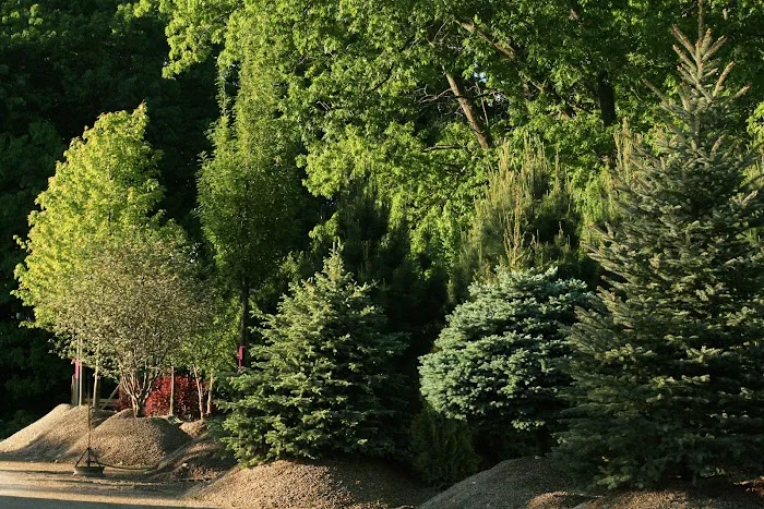 Rustic Road Landscaping Picture 6
