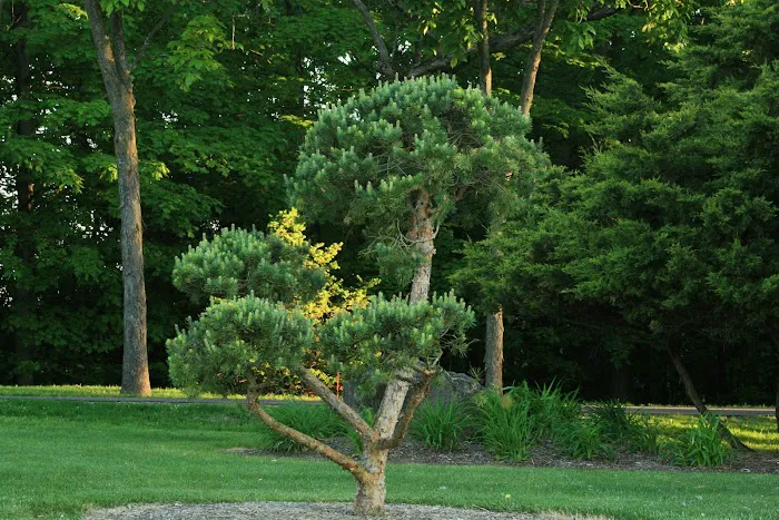 Rustic Road Landscaping Picture 4