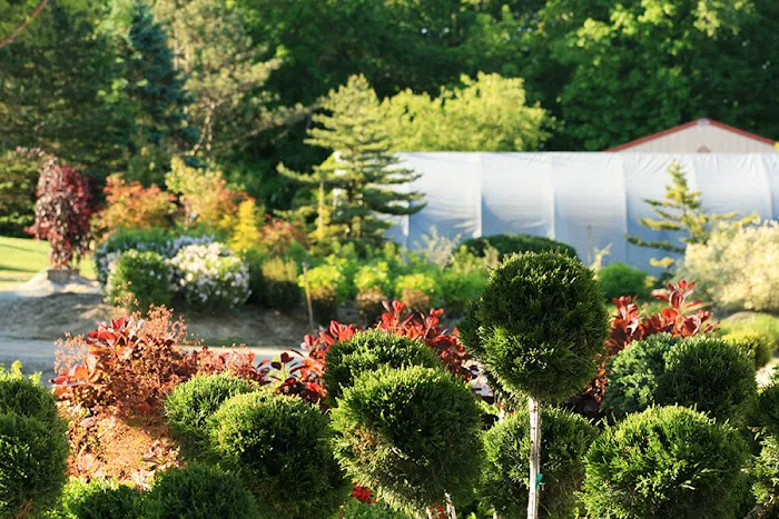 Rustic Road Landscaping Picture 7