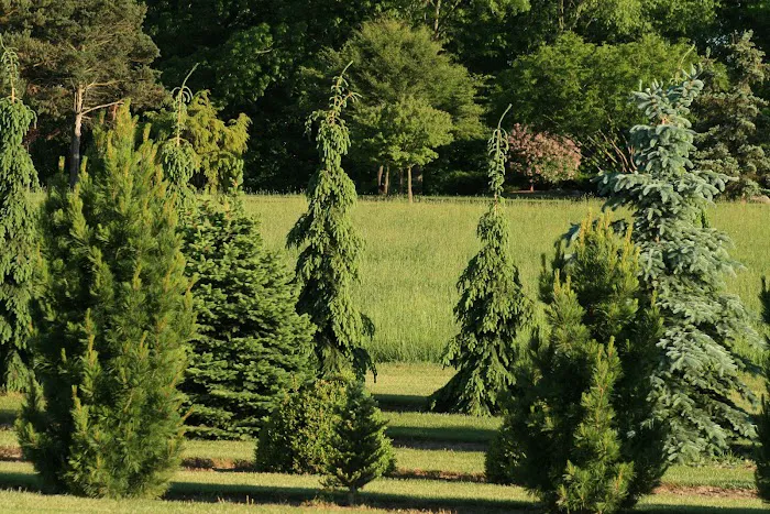 Rustic Road Landscaping Picture 10