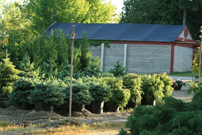 Rustic Road Landscaping Picture 8