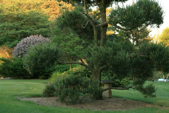 Rustic Road Landscaping Picture 3