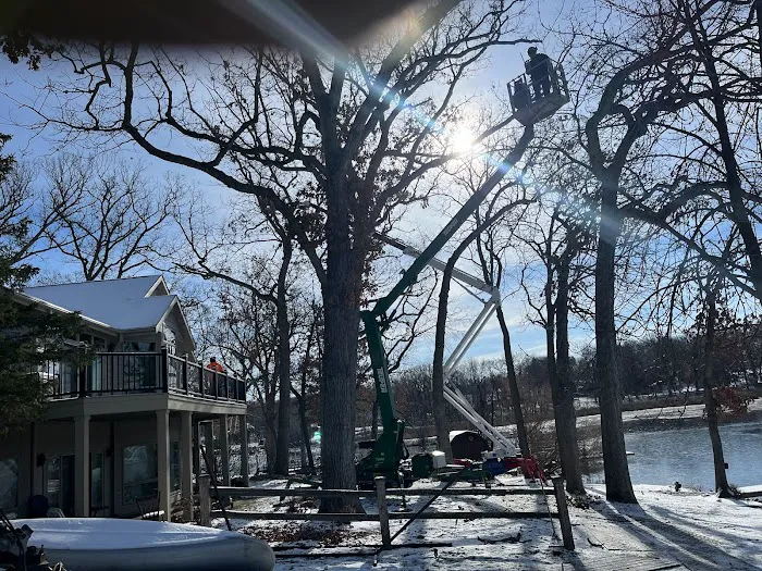 Arbor Images Tree & Shrub Care. Landscape Supply Picture 7