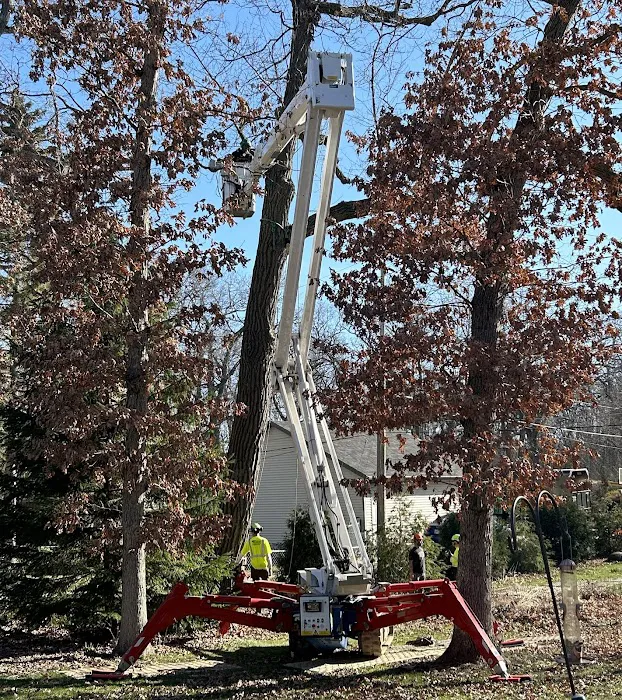 Arbor Images Tree & Shrub Care. Landscape Supply Picture 4