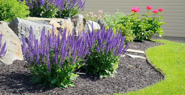 Skyline Landscape Design LLC Picture 4