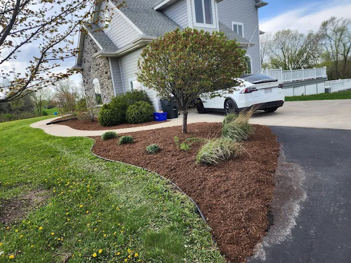 VK Landscaping Picture 6