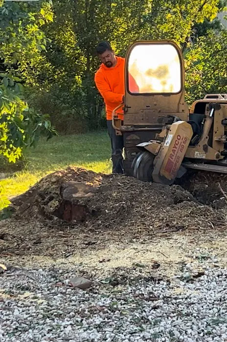 Ivan's and Jr's Landscaping & Tree Service Picture 5