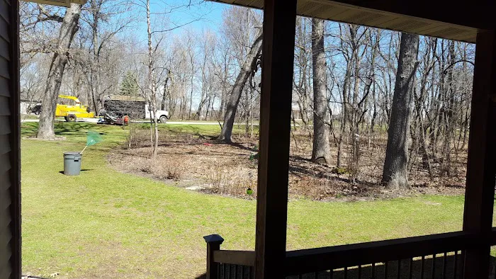 Ivan's and Jr's Landscaping & Tree Service Picture 2