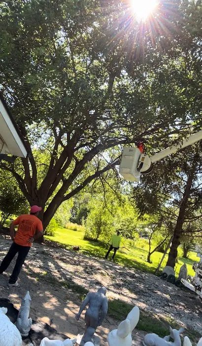 Ivan's and Jr's Landscaping & Tree Service Picture 3