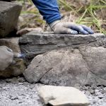 EcoHaven landscaping and ponds