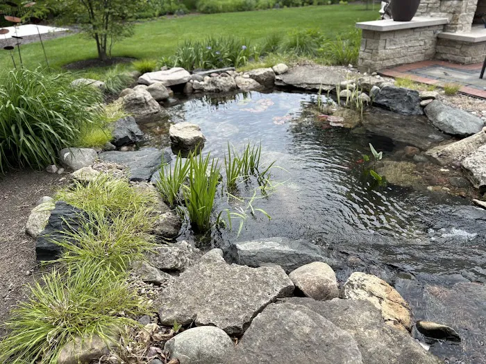 EcoHaven landscaping and ponds Picture 4